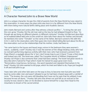 Essay on A Character Named John to a Brave New World