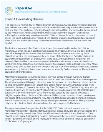 Essay on Ebola: a Devastating Disease