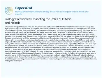 Essay on Biology Breakdown: Dissecting the Roles of Mitosis and Meiosis