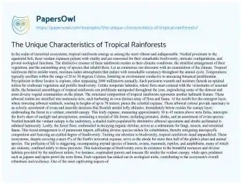 Essay on The Unique Characteristics of Tropical Rainforests