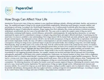 Essay on How Drugs Can Affect your Life