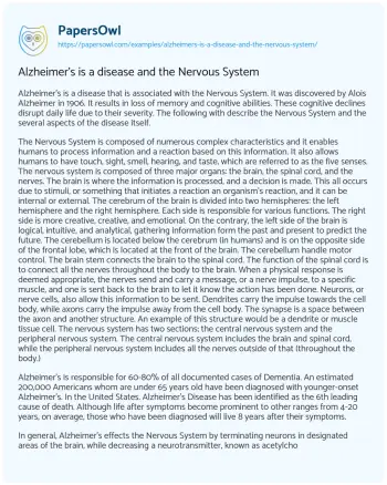 Essay on The Intricacies of the Nervous System and Alzheimer’s Disease