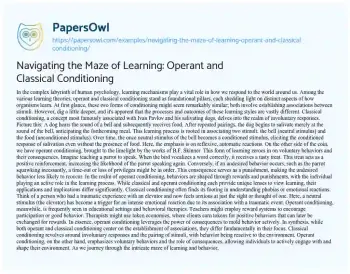 Essay on Navigating the Maze of Learning: Operant and Classical Conditioning