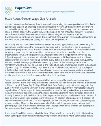 Essay on Essay about Gender Wage Gap Analysis