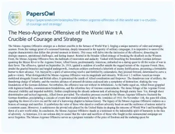 Essay on The Meso-Argonne Offensive of the World War 1: a Crucible of Courage and Strategy