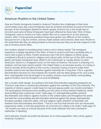 Essay on American Muslims in the United States