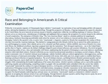 Essay on Race and Belonging in Americanah: a Critical Examination