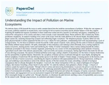 Essay on Understanding the Impact of Pollution on Marine Ecosystems