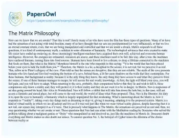 Essay on The Matrix Philosophy