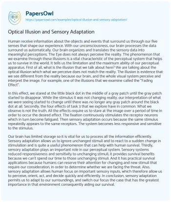 Essay on Optical Illusion and Sensory Adaptation