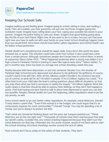 Essay on Keeping our Schools Safe