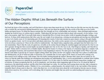 Essay on The Hidden Depths: what Lies Beneath the Surface of our Perceptions