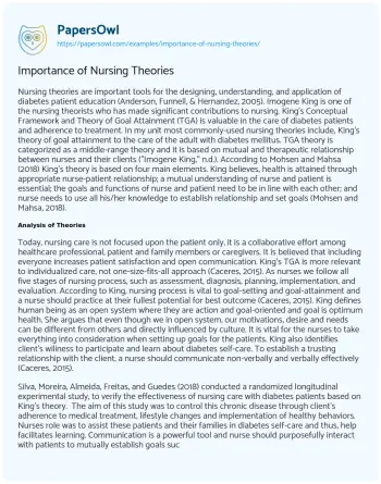 Essay on Importance of Nursing Theories