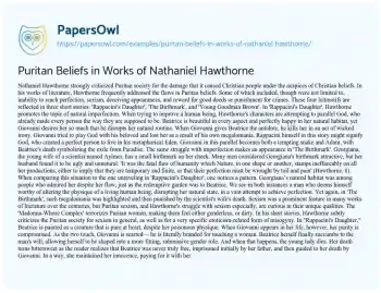 Essay on Puritan Beliefs in Works of Nathaniel Hawthorne