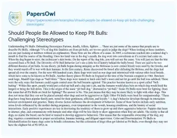 Essay on Should People be Allowed to Keep Pit Bulls: Challenging Stereotypes