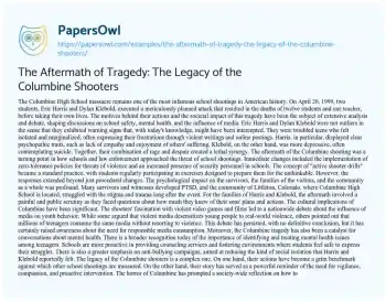 Essay on The Aftermath of Tragedy: the Legacy of the Columbine Shooters