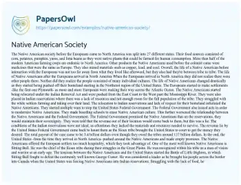 Essay on Native American Society