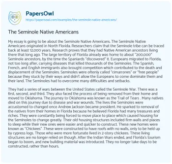 Essay on The Seminole Native Americans