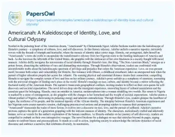 Essay on Americanah: a Kaleidoscope of Identity, Love, and Cultural Odyssey