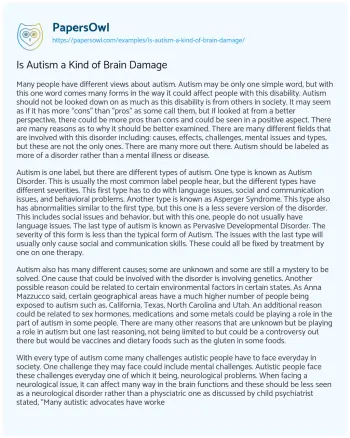 Essay on Is Autism a Kind of Brain Damage