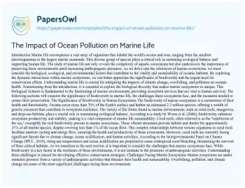 Essay on The Impact of Ocean Pollution on Marine Life