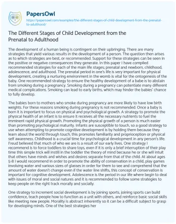 Essay on The Different Stages of Child Development from the Prenatal to Adulthood