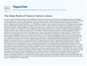 Essay on The Deep Roots of Trees in Human Culture