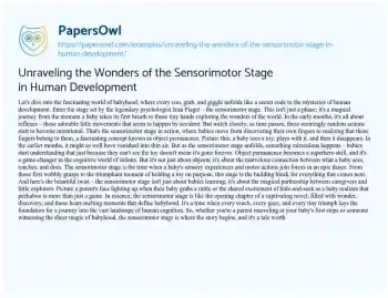 Essay on Unraveling the Wonders of the Sensorimotor Stage in Human Development