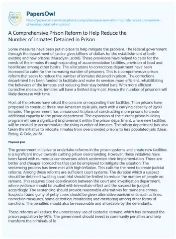 Essay on A Comprehensive Prison Reform to Help Reduce the Number of Inmates Detained in Prison