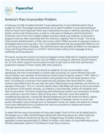 Essay on America’s Mass Incarceration Problem