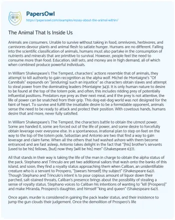 Essay on The Animal that is Inside Us