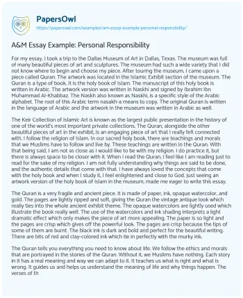 Essay on A&M Essay Example: Personal Responsibility