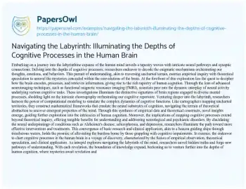 Essay on Navigating the Labyrinth: Illuminating the Depths of Cognitive Processes in the Human Brain