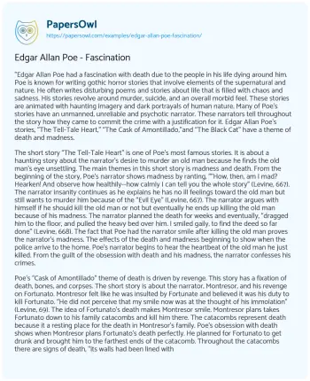 Essay on Edgar Allan Poe – Fascination