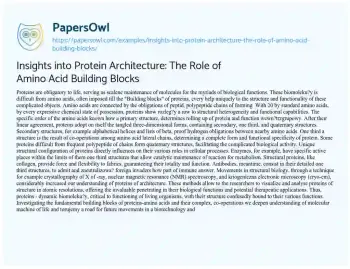 Essay on Insights into Protein Architecture: the Role of Amino Acid Building Blocks