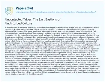 Essay on Uncontacted Tribes: the Last Bastions of Undisturbed Culture