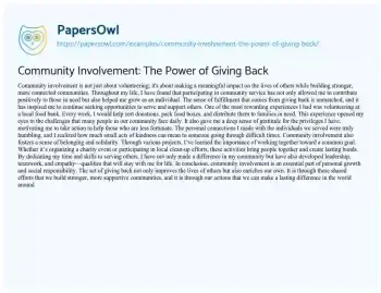 Essay on Community Involvement: the Power of Giving Back