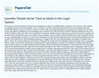 Essay on Juveniles should not be Tried as Adults in the Legal System