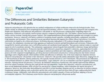 Essay on The Differences and Similarities between Eukaryotic and Prokaryotic Cells