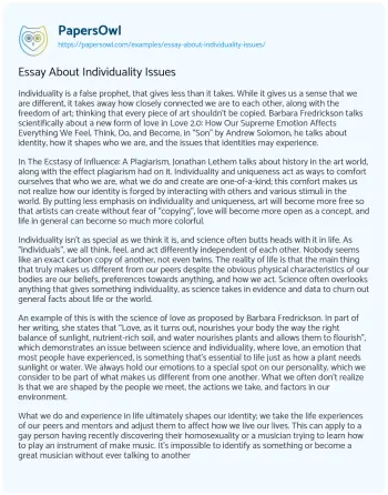 Essay on Essay about Individuality Issues