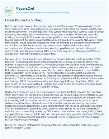 Essay on Career Path in Accounting