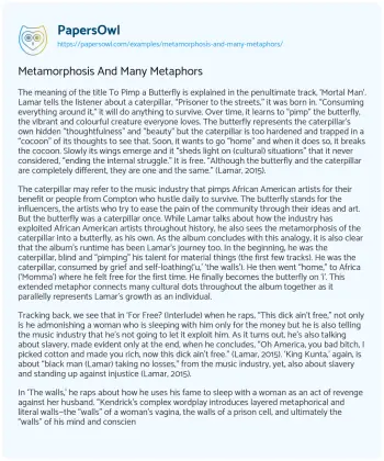 Essay on Metamorphosis and Many Metaphors