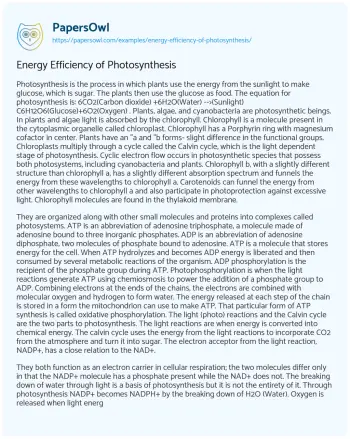 Essay on Energy Efficiency of Photosynthesis