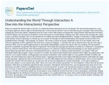 Essay on Understanding the World through Interaction: a Dive into the Interactionist Perspective