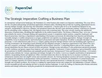 Essay on The Strategic Imperative: Crafting a Business Plan