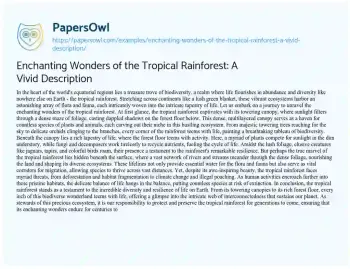 Essay on Enchanting Wonders of the Tropical Rainforest: a Vivid Description