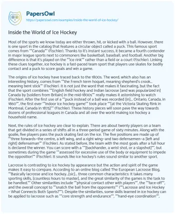 Essay on Inside the World of Ice Hockey