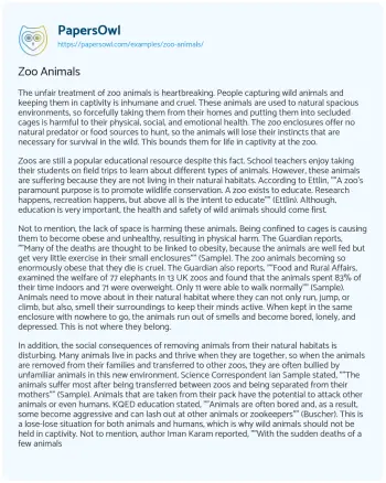 Essay on Zoo Animals