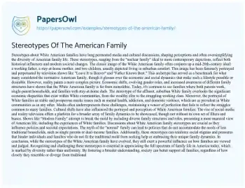 Essay on Stereotypes of the American Family