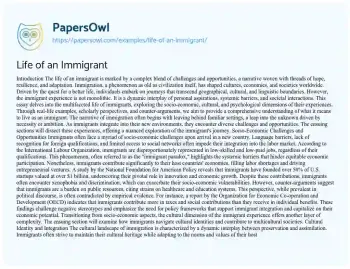 Essay on Life of an Immigrant